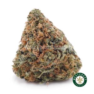 Buy weed Grease Monkey AAA wc cannabis weed dispensary & online pot shop