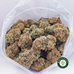 Buy weed Grease Monkey AAA wc cannabis weed dispensary & online pot shop