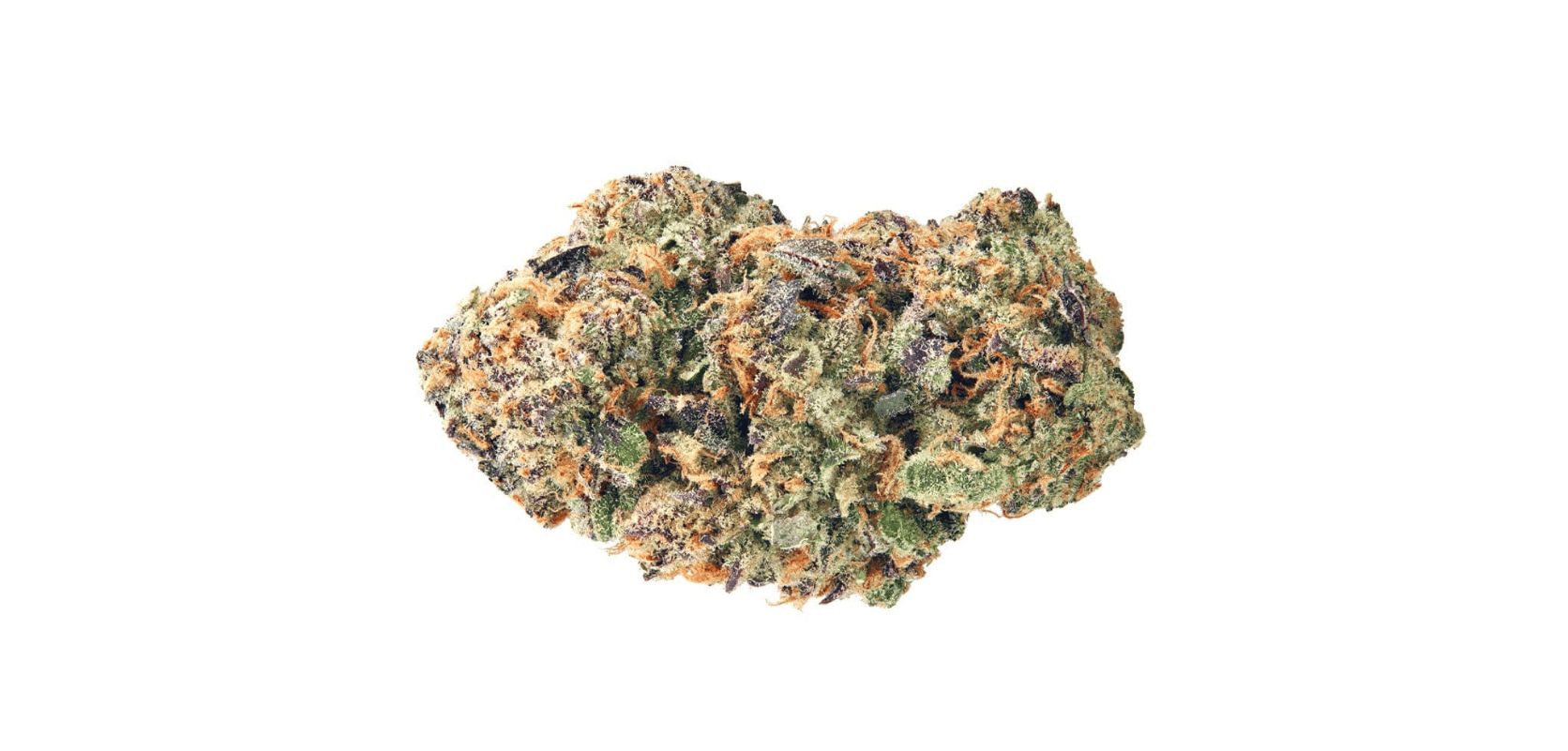 Jealousy is a well-balanced cannabis hybrid with a 50:50 indica to sativa ratio. It's also very potent, with THC levels that often reach 30%, so how does it make you feel?
