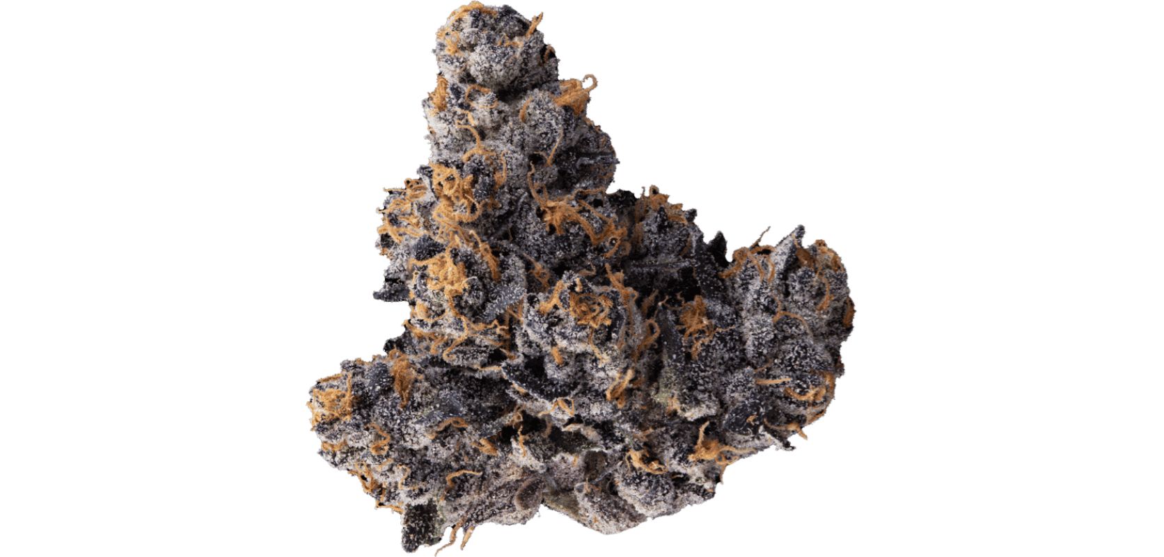 Jealousy strain is a hybrid cross between two potent cannabis buds, Sherbert BX1 and Gelato 41. The choice of the two parent strains may help you predict the taste and effects this bud produces.
