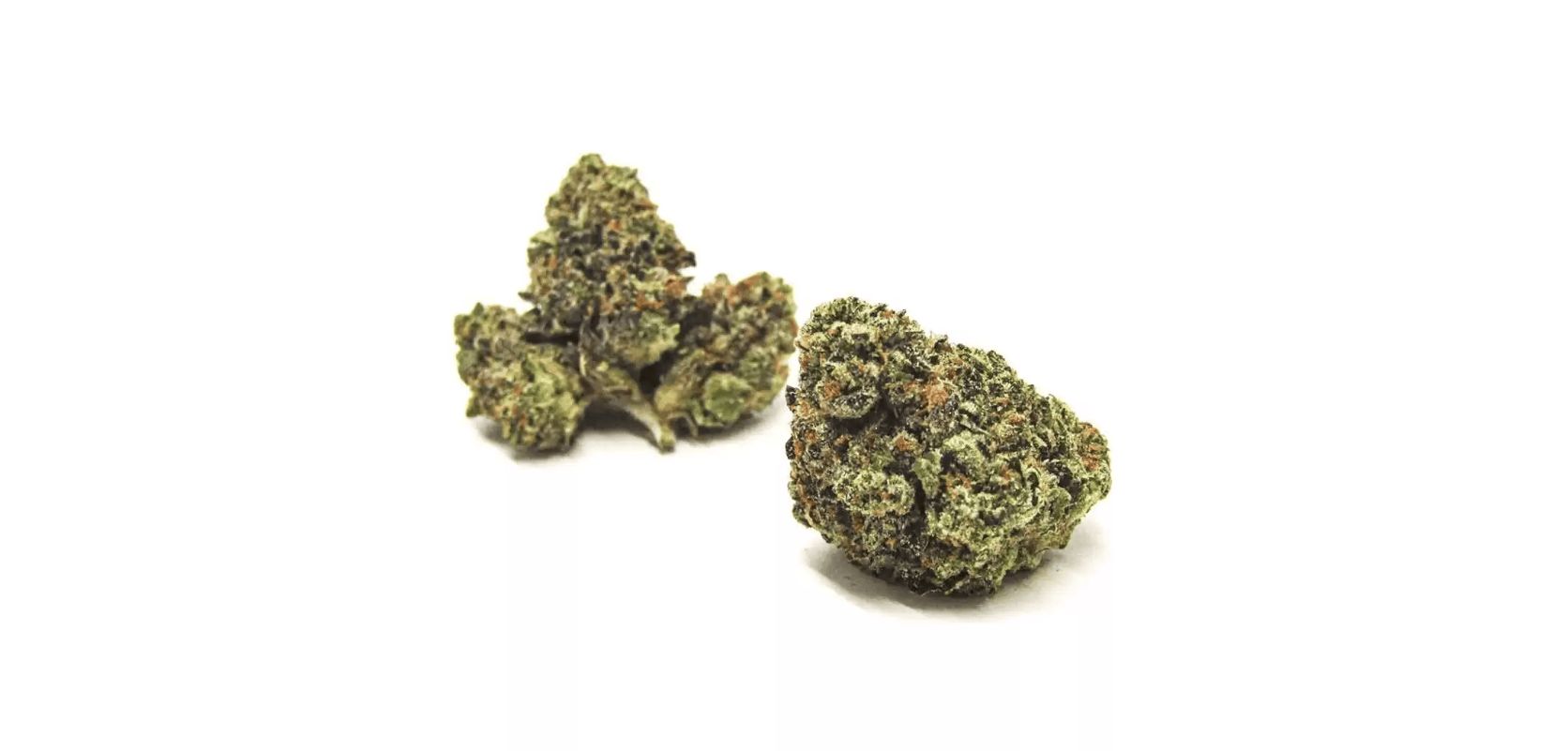 Jealousy strain is, for the sake of accuracy, both sativa and indica, as it is a hybrid.