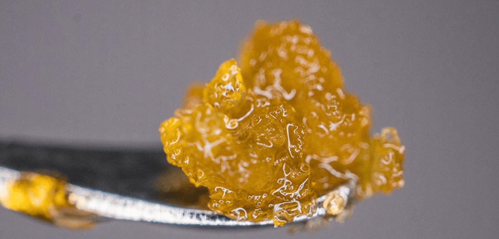 Thanks for joining us in exploring the world of Living Resin. We've had a blast sharing this captivating strain with you, and we hope you've enjoyed the journey as much as we have.