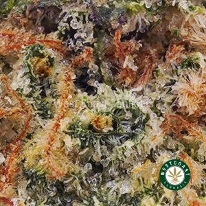 Buy weed Master Kush AA wc cannabis weed dispensary & online pot shop