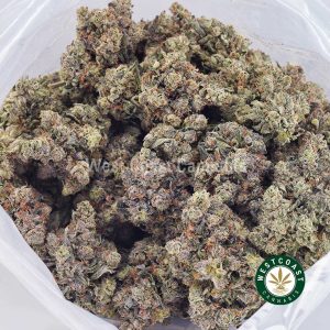 Buy weed Vintage Blueberry AAAA+ wc cannabis weed dispensary & online pot shop