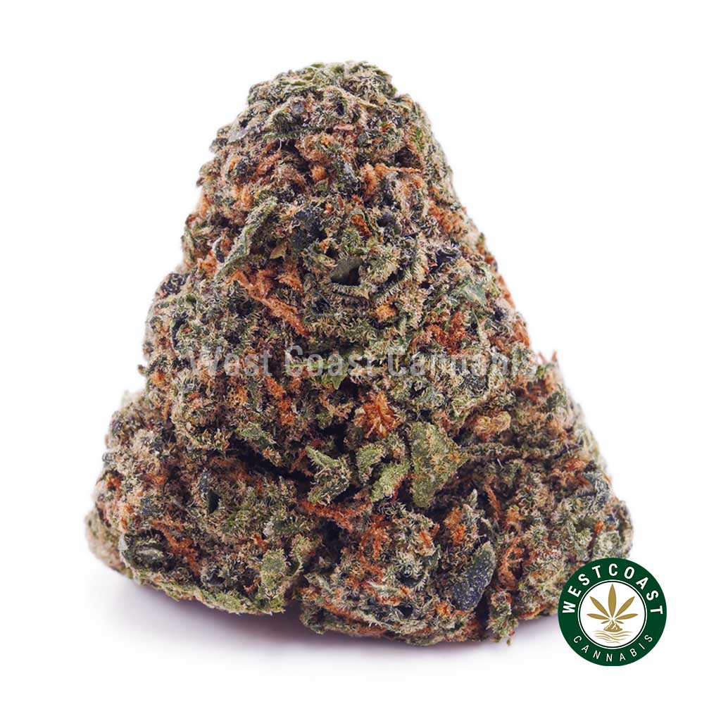 Buy weed Pink Runtz AA wc cannabis weed dispensary & online pot shop