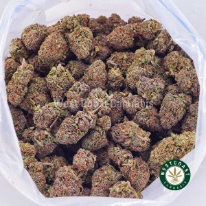 Buy weed Pink Runtz AA wc cannabis weed dispensary & online pot shop