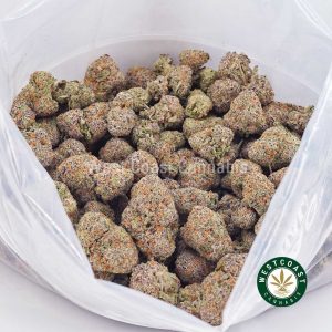 Buy weed Italian Ice AAAA wc cannabis weed dispensary & online pot shop