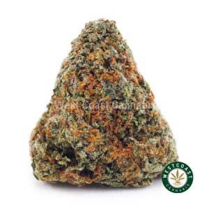 Buy weed White Runtz AAA wc cannabis weed dispensary & online pot shop
