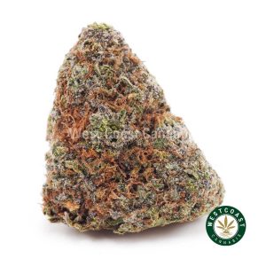 Buy weed Black Cherry Gelato AAA wc cannabis weed dispensary & online pot shop