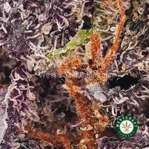 Buy weed Mandarin Sunset AAAA+ wc cannabis weed dispensary & online pot shop
