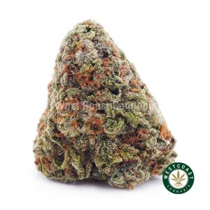 Buy weed Space Runtz AAA wc cannabis weed dispensary & online pot shop