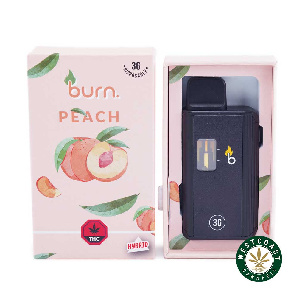 Buy Burn Extracts - Peach 3ML Mega Sized at Wccannabis Online Shop