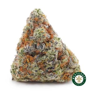 Buy weed GMO Cookies AAAA wc cannabis weed dispensary & online pot shop
