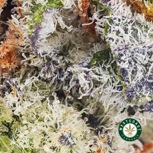 Buy weed Cookie Dough AAAA wc cannabis weed dispensary & online pot shop