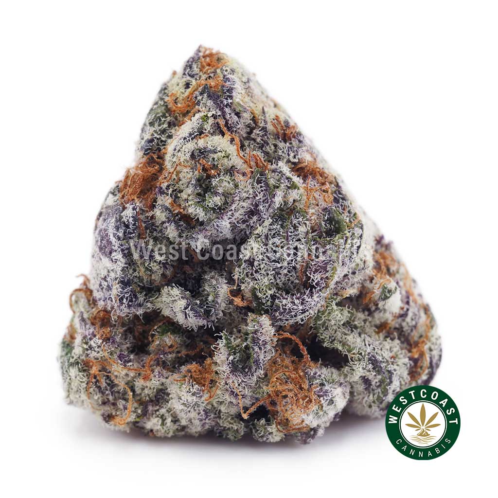 Buy weed Purple Slurricane AAAA wc cannabis weed dispensary & online pot shop