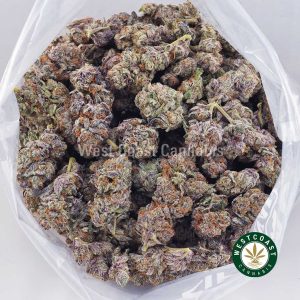Buy weed Purple Slurricane AAAA wc cannabis weed dispensary & online pot shop