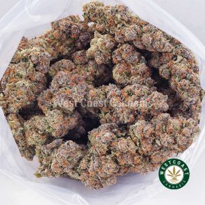 Buy weed Orange Sorbet AAAA+ wc cannabis weed dispensary & online pot shop