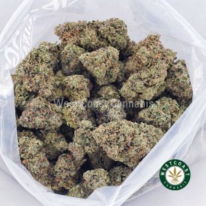 Buy weed Rock Tuna AAAA wc cannabis weed dispensary & online pot shop