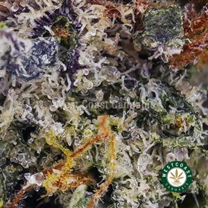 Buy weed Pink Trainwreck AAAA wc cannabis weed dispensary & online pot shop