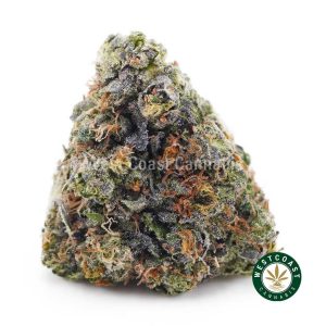 Buy weed Blueberry Rockstar AAAA wc cannabis weed dispensary & online pot shop