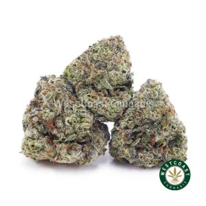 Buy weed Cinderella 99 AAAA (Popcorn Nugs) wc cannabis weed dispensary & online pot shop