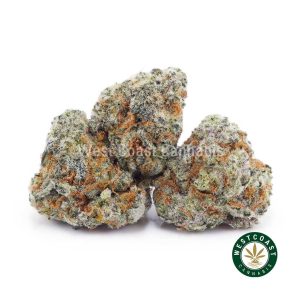 Buy weed Silver Haze AAAA (Popcorn Nugs) wc cannabis weed dispensary & online pot shop
