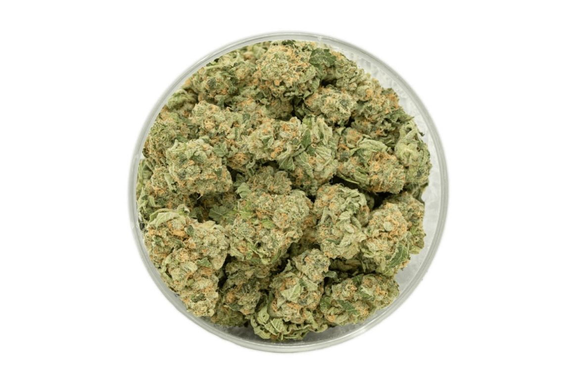 Alaskan Thunderfuck is a sativa-leaning hybrid with lots of THC & powerful cerebral effects. Buy this strain for Euphoria, relaxation, & creative focus.