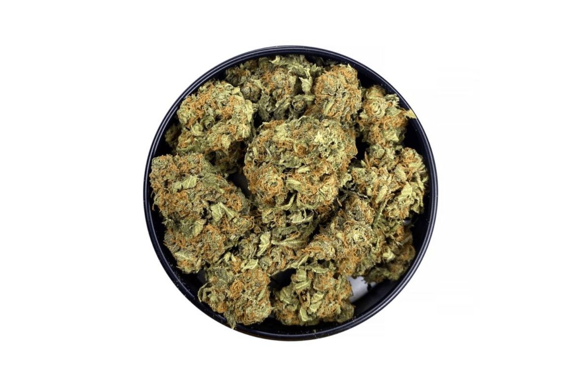 Cannabis knows how to bring a Chemdawg strain that meets the vibe of GenZ & Alpha. It comes through with a strain that is potent & hip for all ages