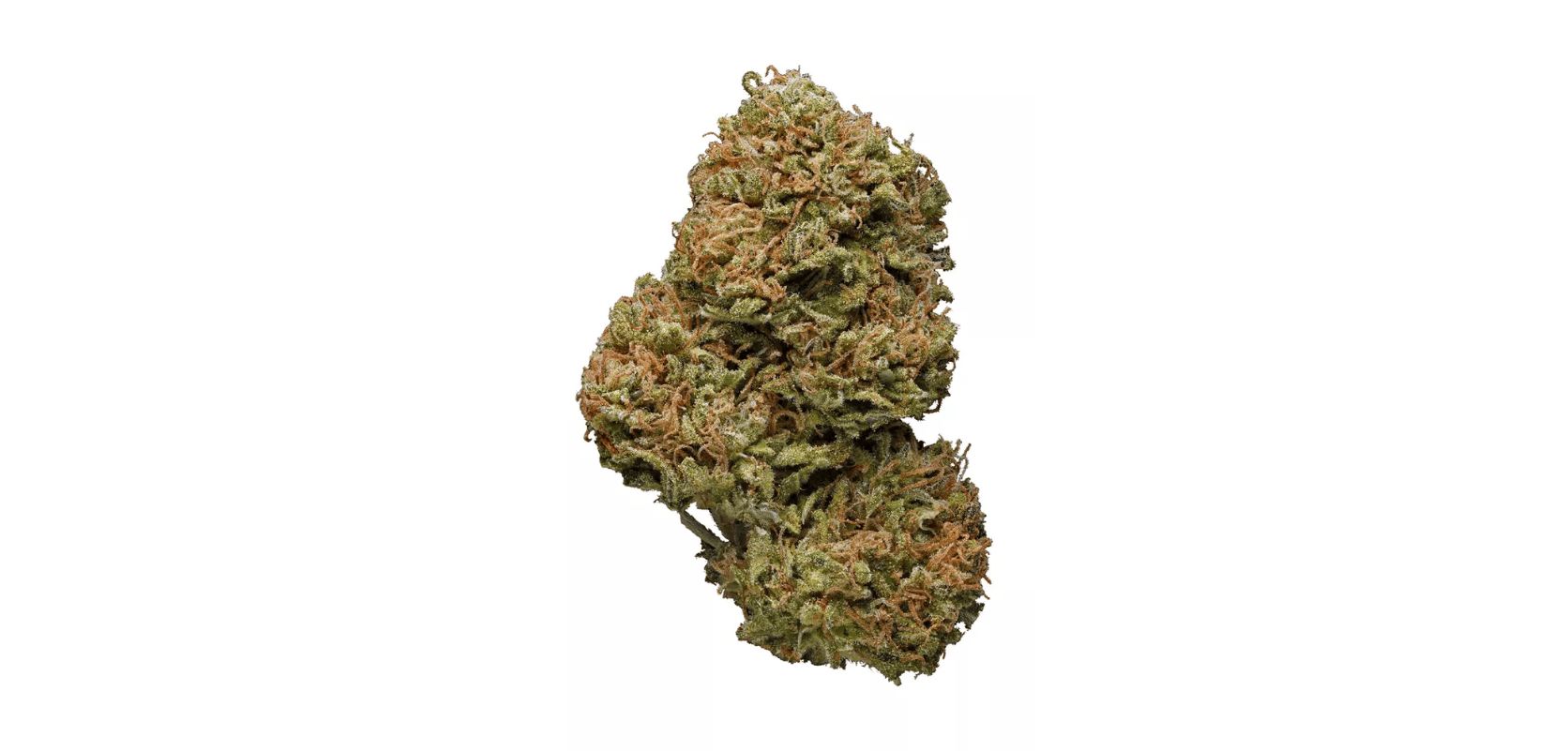 No, the Amnesia Haze is a Sativa, so we recommend using it in the morning or during the day for a quick pick-me-up.