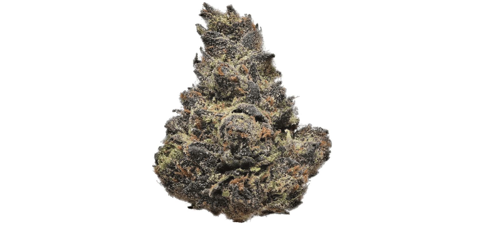 Now that you know what Ice Cream Cake weed strain is, you must be wondering where you can buy it online in Canada.