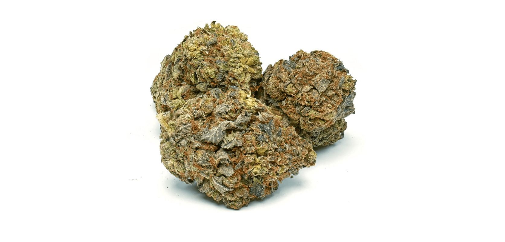 The Death Bubba strain is a legendary strain at any cannabis dispensary, for several compelling reasons.