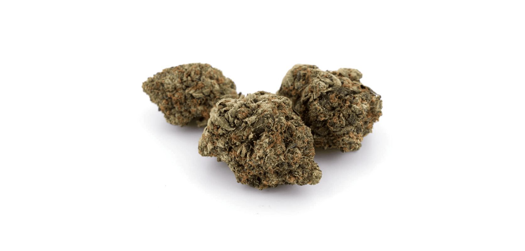 Buy Death Bubba strain from an outstanding online weed dispensary and receive a bud with around 27 percent THC or more!