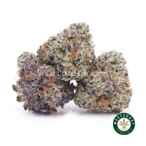 Buy weed Dolato AAAA (Popcorn Nugs) wc cannabis weed dispensary & online pot shop