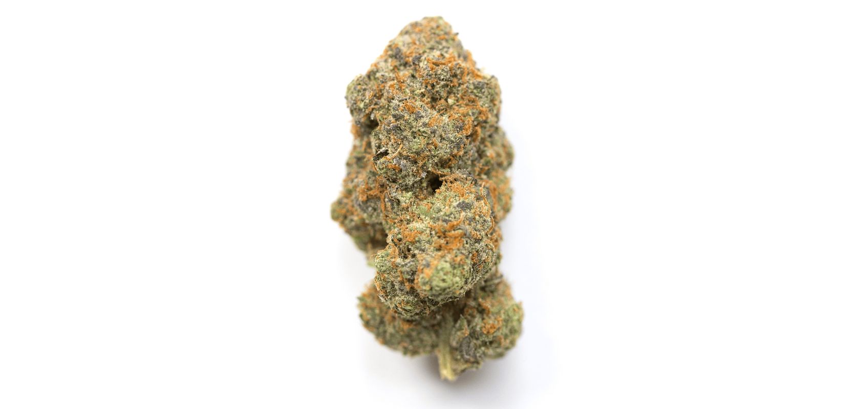El Chapo strain is mostly Indica, which means it leans towards making you feel relaxed and calm. But it's not all sleepy vibes – there's a bit of sativa in there, too, giving you a touch of uplifting feelings.