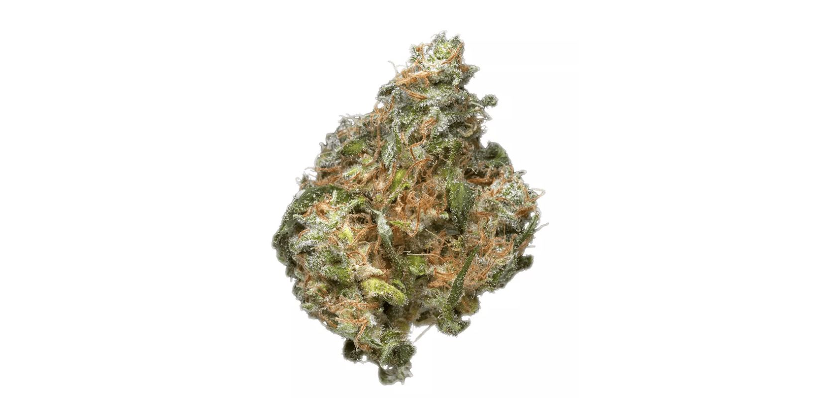 Close your eyes and inhale the aroma of MK Ultra strain, and you'll find yourself transported to a world of earthy enchantment.