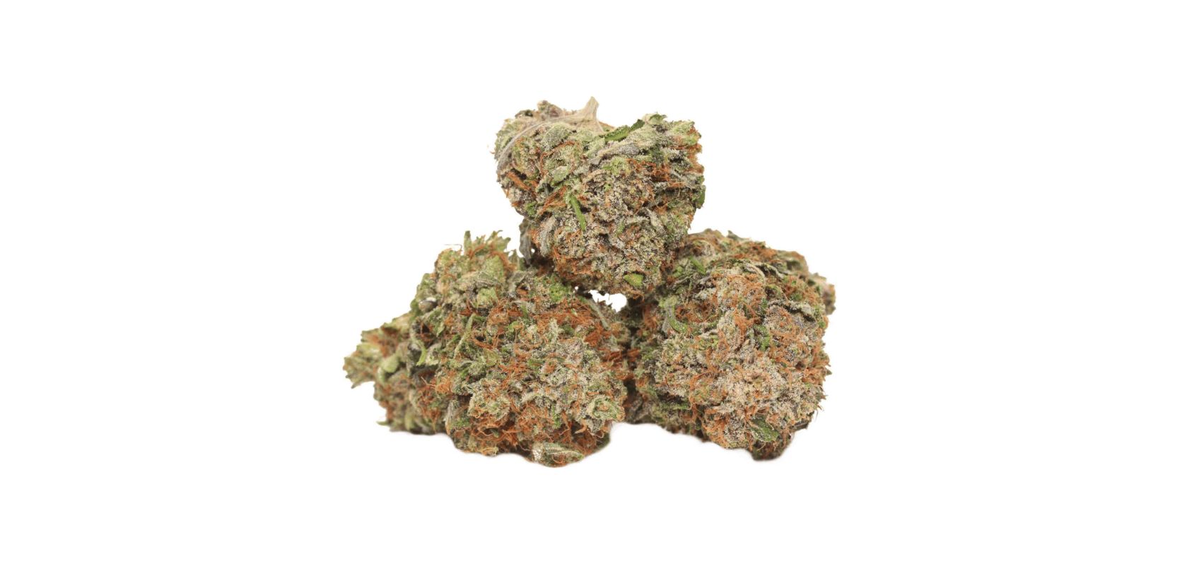 Buy weed online and try one of the rarest and most psychedelic strains in the world! Give the Death Bubba weed a go and find out why it’s addictive.