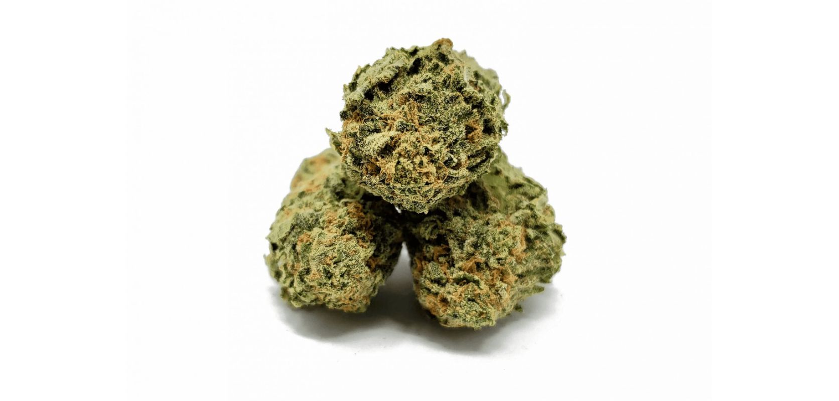 It's a good idea to talk to a doctor or ask experts at weed store if you're thinking about using MK Ultra weed strain for health reasons. They can give you personalized advice based on your needs.