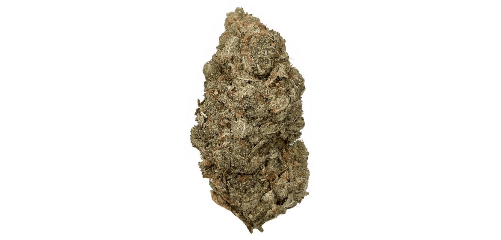 High-quality buds such as the Ice Cream Cake strain boast vibrant colours, dense trichome coverage, and a robust structure, indicating healthy growth. 