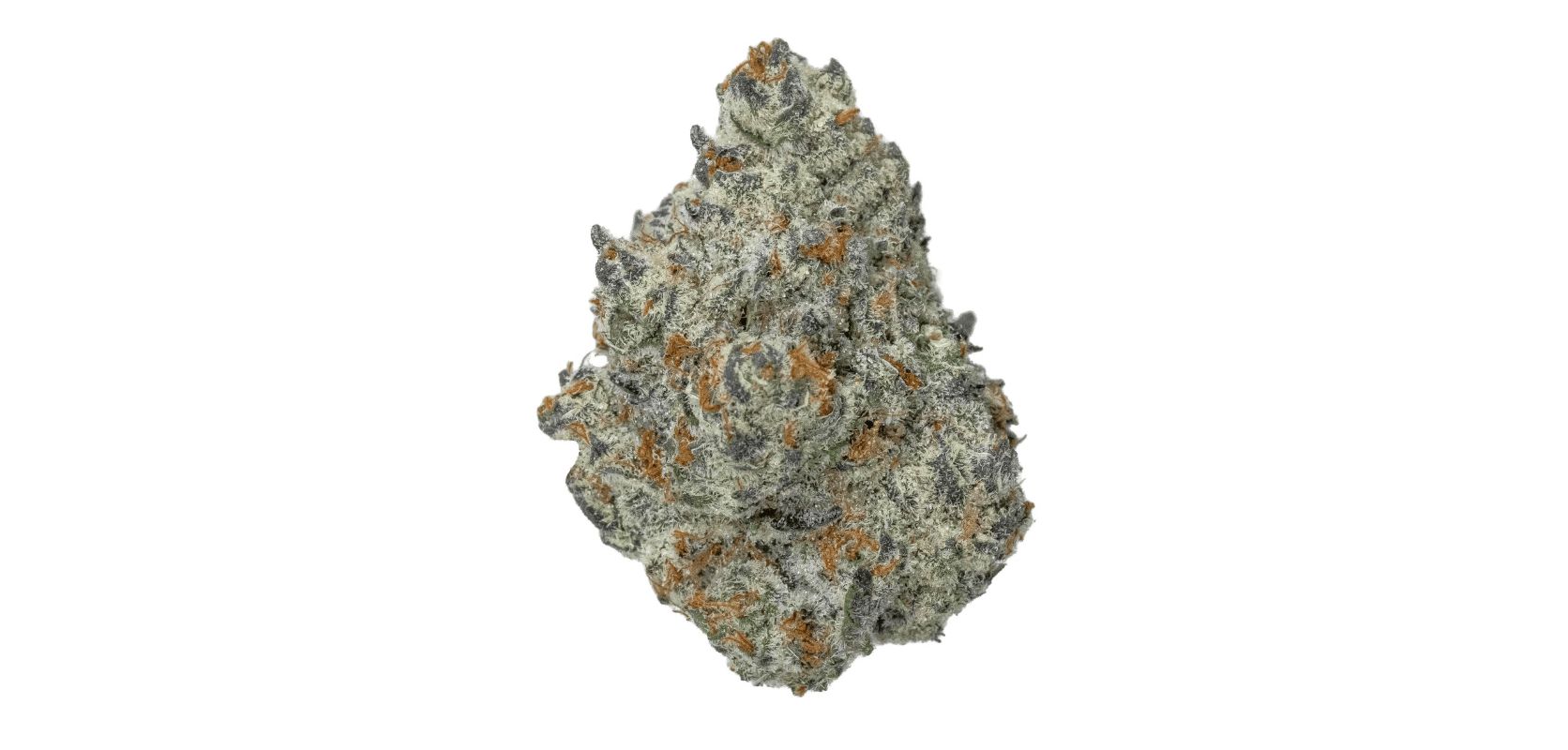 Ice Cream Cake strain is an indica-leaning hybrid loved for its potent and relaxing effects.