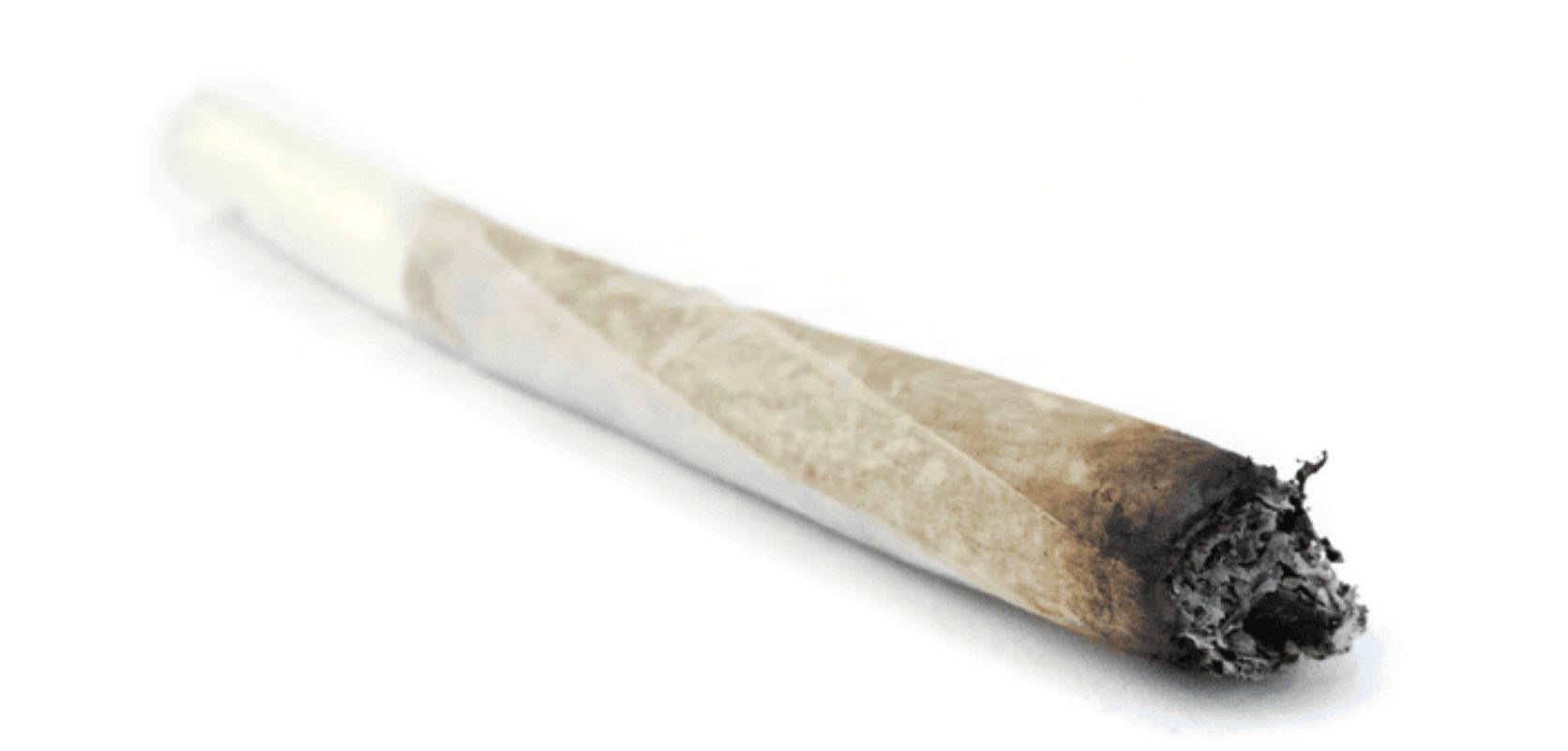 Our joint selection brings together expertly crafted blends of the best hash online Canada. 