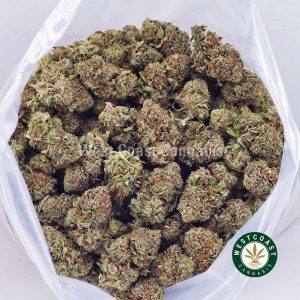 Buy weed Lemon Meringue AAA wc cannabis weed dispensary & online pot shop