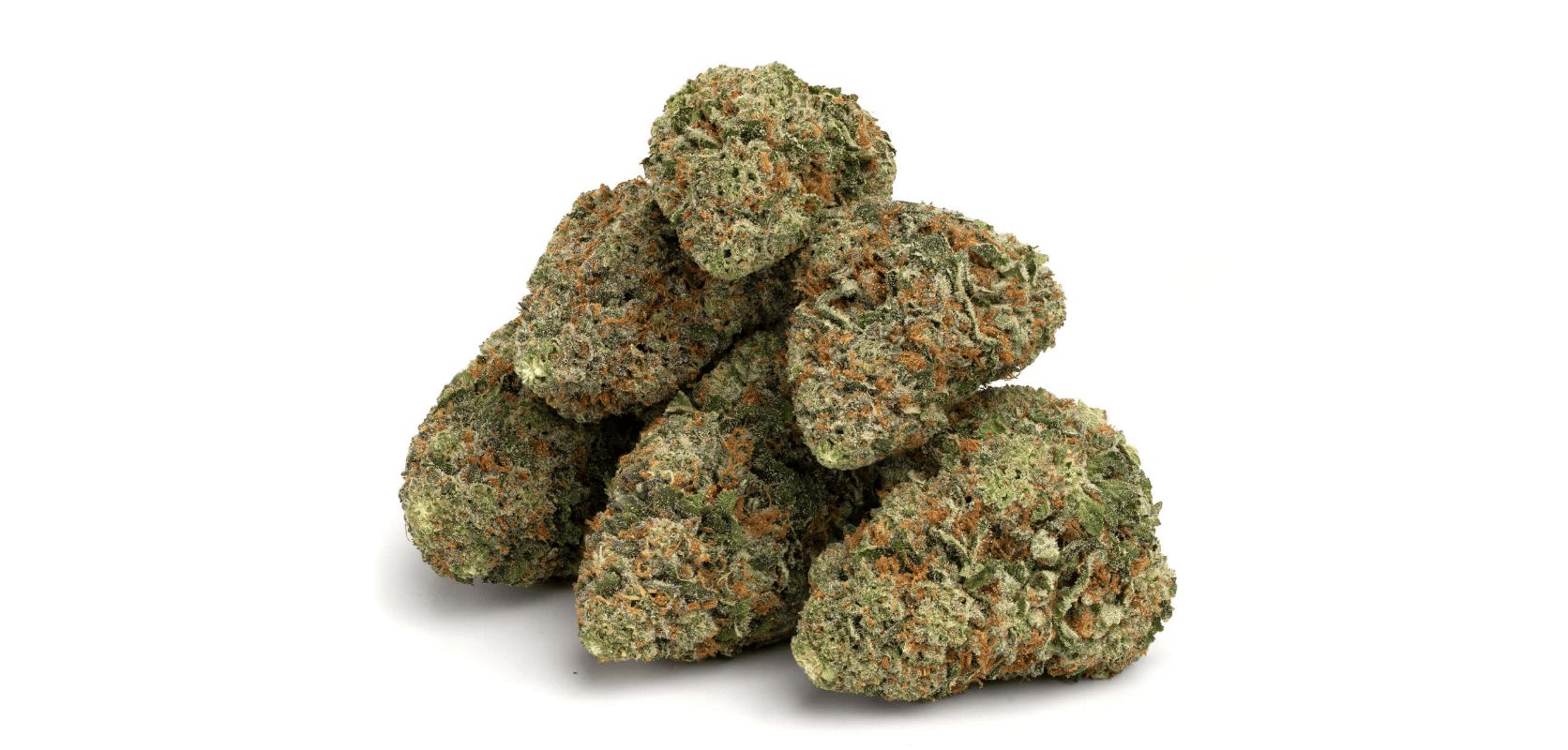 MK Ultra strain is a special bud known for its ability to help with various health concerns.