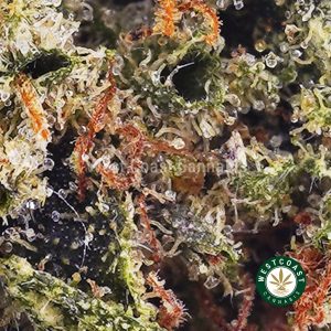 Buy weed Platinum Pink AAAA (Popcorn Nugs) wc cannabis weed dispensary & online pot shop