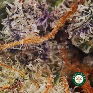 Buy weed Miracle Alien Cookies (MAC) AAAA+ wc cannabis weed dispensary & online pot shop