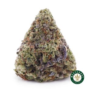 Buy weed Sherbet Punch AAA wc cannabis weed dispensary & online pot shop
