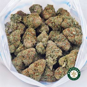 Buy weed Peach Runtz AAA wc cannabis weed dispensary & online pot shop