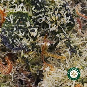 Buy weed Zookies AAA wc cannabis weed dispensary & online pot shop