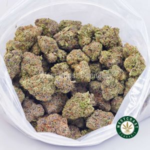 Buy weed Mango Gelato AA wc cannabis weed dispensary & online pot shop