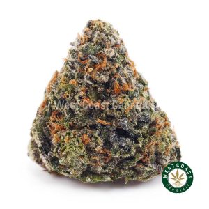 Buy weed Super Skunk AA wc cannabis weed dispensary & online pot shop