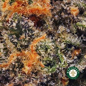 Buy weed Island Sweet Skunk AA wc cannabis weed dispensary & online pot shop